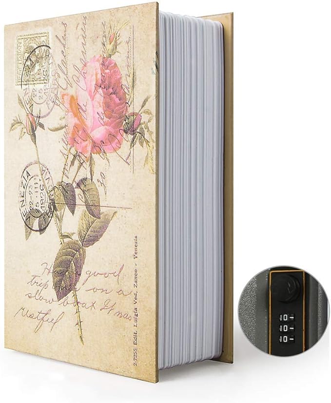 Small Sized Diversion Book Safe Storage Box, Dictionary Secret Safe Can with Security Combination Lock/Key, Diversion Book Hidden Safe (Combination, Rose)