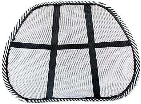 Ergonomic Lumbar Mesh Back Support (1 Pack).