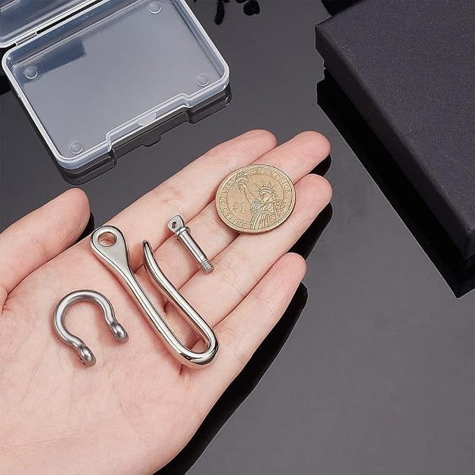 PH PandaHall Platinum Keychain, Brass U-Shape Hook Keychain with D Ring, Heavy Duty Car Key Holder for Men Women