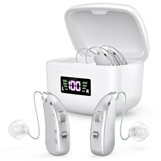 Hearing Aid for the Elderly-Easy to Operate-One Touch Adjustment-Built-in Noise Reduction-Rechargeable Hearing Aids (Silver)