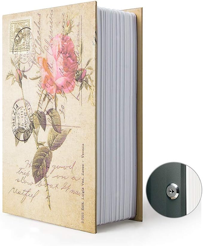 Small Sized Diversion Book Safe Storage Box, Dictionary Secret Safe Can with Security Combination Lock/Key, Diversion Book Hidden Safe (Key, Rose)