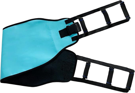Transfer Sling Gait Belts, Padded Assist Transfer Belts, Heavy Duty Patient Lift Belt, Lifting Aid and Mobility Standing for Disabled, Injured, Seniors - Safely Move from Wheelchair and Bed (Blue-d)