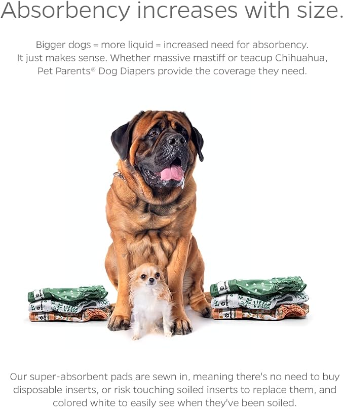 Pet Parents® Washable Dog Diapers (3pack) + Extendrs® of Durable Doggie Diapers, Premium Dog Diapers Female (Medium, Daisy)