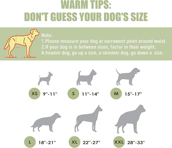 Wegreeco Washable Male Dog Diapers (Pack of 3) - Washable Male Dog Belly Wrap (Small)