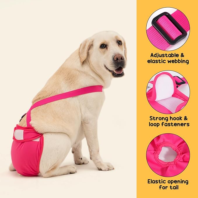 Avont 3 Pack Washable Female Dog Diaper with Suspender - XS | Reusable Girl Doggie Diapers for Small Medium Large Dog in Heat Cycle Period Incontinence (Black/Pink/Purple)