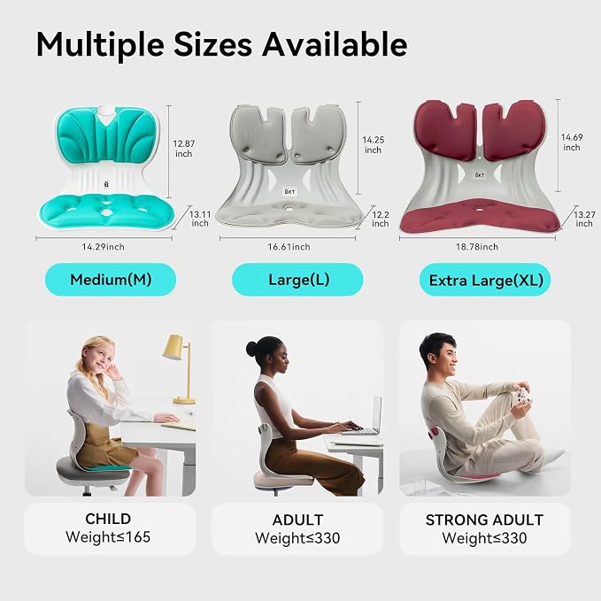 BKT Ergonomic Seat Cushion - Lumbar Support Pillow for Office Chair & Floor | Premium upgraded materials for long sitting. Comfort for students, nursing mothers, office workers and outdoor fishing trips