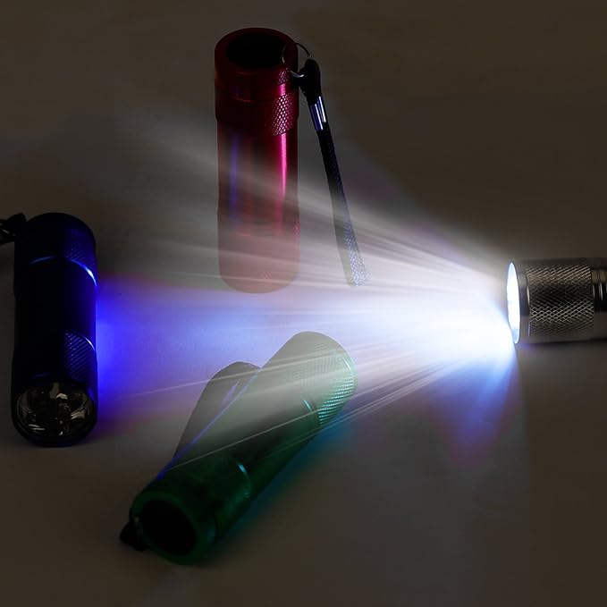 FASTPRO 20-Pack Aluminum 6-LED Flashlights Set with Lanyard and AAA Batteries Included and Pre-Installed