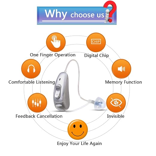 BLJ Hearing Aid for Seniors, Invisible Digital Hearing Amplifier to Assist Hearing, Lightweight with Noise Reduction and Feedback Cancelling (Blue-Left Ear)