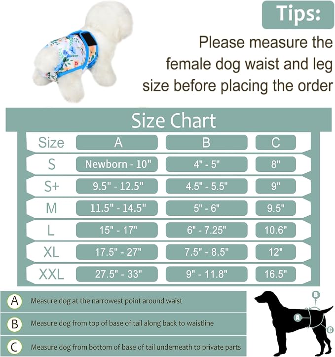 Washable Female Dog Diapers (5 Pack) - Doggie Reusable Small Medium Large Dog Diapers for Doggy Puppy Female in Period - Highly Absorbent Dog Heat Panties,S Plus,Green
