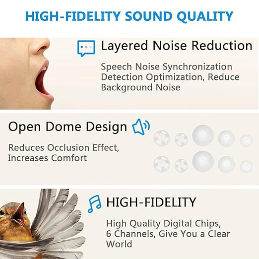 BLJ Hearing Aid V206 Amplifier for Adults and Seniors, Digital Sound Amplifier Device to Assist and Aid Hearing, Lightweight with Digital Noise Reduction and Feedback Cancelling