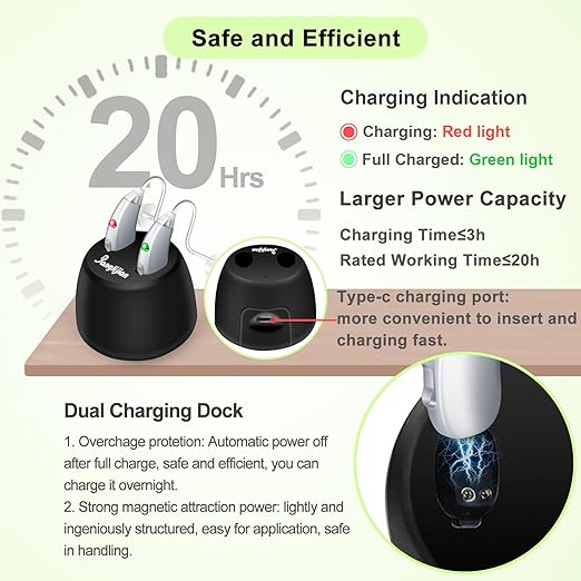 Banglijian Rechargeable Hearing Aids for Seniors - Intelligent DSP Noise Cancellation, Behind-the-Ear (BTE) Design, Easy-to-Use, Comfortable Fit, 20H Battery Life, Magnetic Charging (Silver)