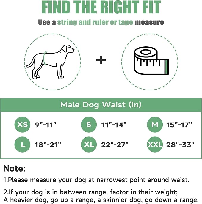 wegreeco Washable Male Dog Diapers (Pack of 3) - Washable Male Dog Belly Wrap (White, Medium)