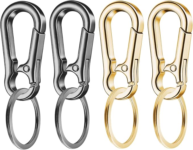 4 Pack Keychain, Metal Key Chain, Sturdy Key Ring, Key Rings Key Organizer Keychain Clip Key Chains for Men Women