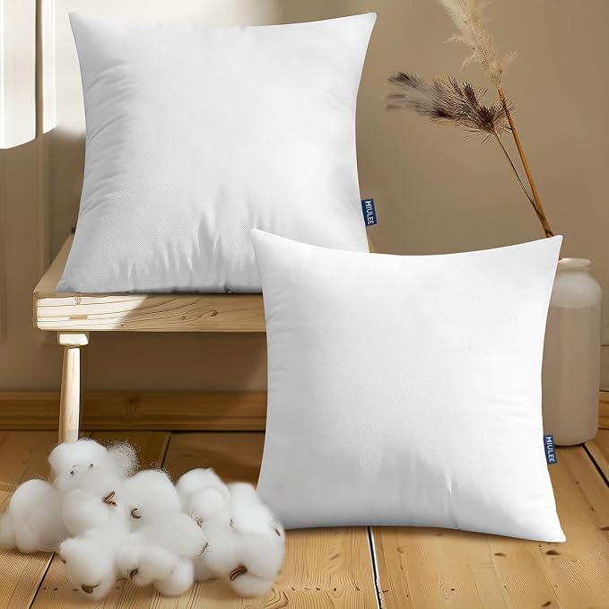 MIULEE Pillow Insert 20x20 Inch Set of 2 Decorative Throw Pillow Inserts | Premium Fluffy Pillow Forms Sham Stuffer for Sofa Couch Living Room