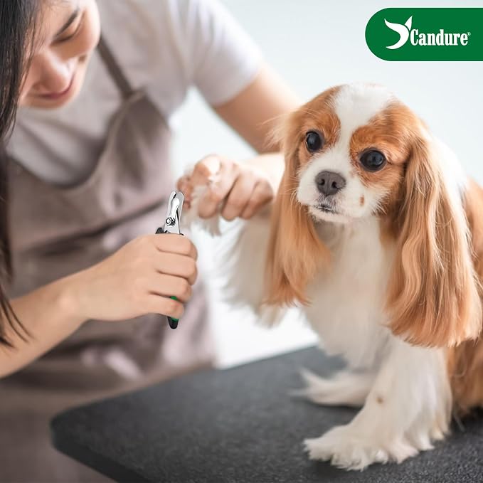 Candure Dog Nail Clippers Professional Pet Nail Clipper Suitable for Cats, Rabbits and Guinea Pigs - Safety Lock/Protective Guard to Avoid Over Cutting (Green, Medium to Small) | Includes Nail File, Small to Large Breeds, Avoids Over-Cutting, Professio...