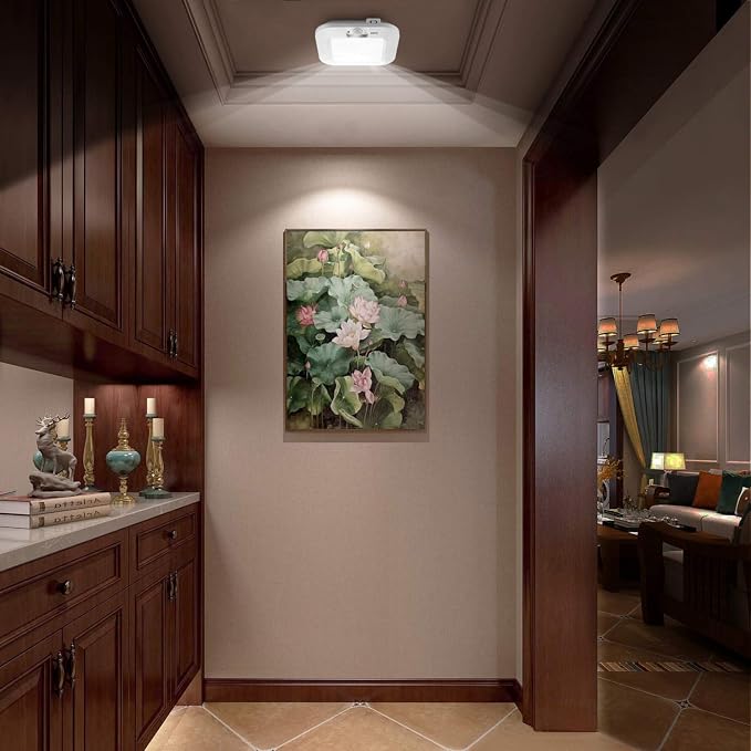 Battery Operated Ceiling Light, Motion Sensor Light Indoor | Battery Powered, Motion Activated, Easy-Install for Closet Stair Pantry Hallway Shed Laundry, Daylight Auto On/Off