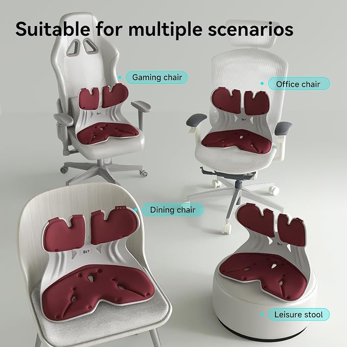 BKT Ergonomic Seat Cushion - Lumbar Support Pillow for Office Chair & Floor | Premium upgraded materials for long sitting. Comfort for students, nursing mothers, office workers and outdoor fishing trips