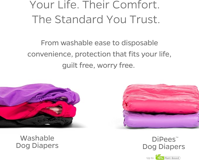 Pet Parents® Washable Dog Diapers (3pack) + Extendrs® of Durable Doggie Diapers, Premium Dog Diapers Female (X-Small, Spruce)