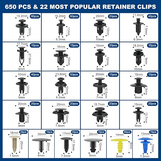 650pcs Push-Type Retainer Clips, Bumper Fender Nylon Rivets of 22 Most Popular Sizes and 5 Fastener Removers for Most Models