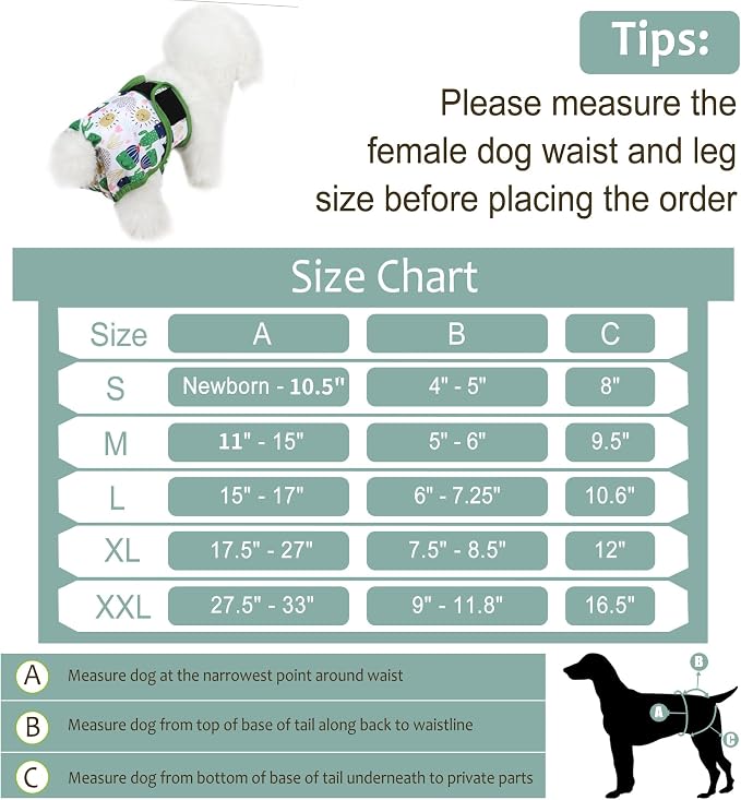 Washable Female Dog Diapers - Premium Reusable Diapers for Doggie in Heat - Highly Absorbent Dog Diapers Female for Pet Incontinence with Adjustable Snaps (Cactus, M)