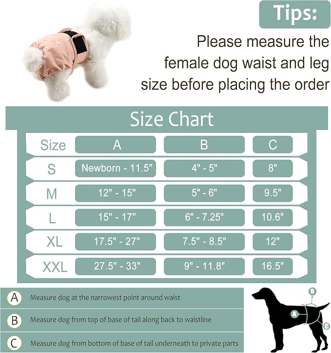 Female Dog Diapers 5Pcs - Premium Reusable Diapers for Doggie in Heat - Highly Absorbent Dog Diapers Female for Pet Incontinence with Adjustable Snaps,M