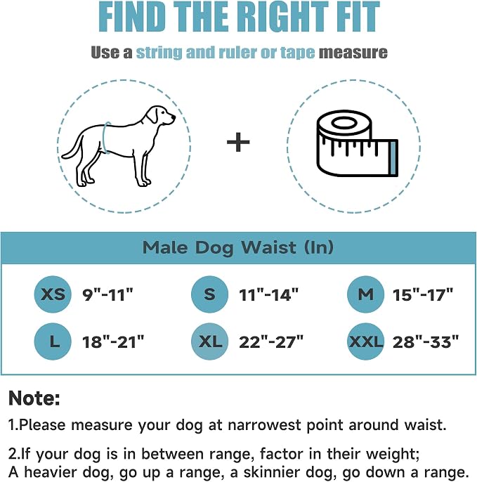 wegreeco Washable Male Dog Belly Band (Stylish Pattern) - Pack of 3 - Dog Diapers Male - Washable Male Dog Belly Wrap (Dolphins, X-Large)