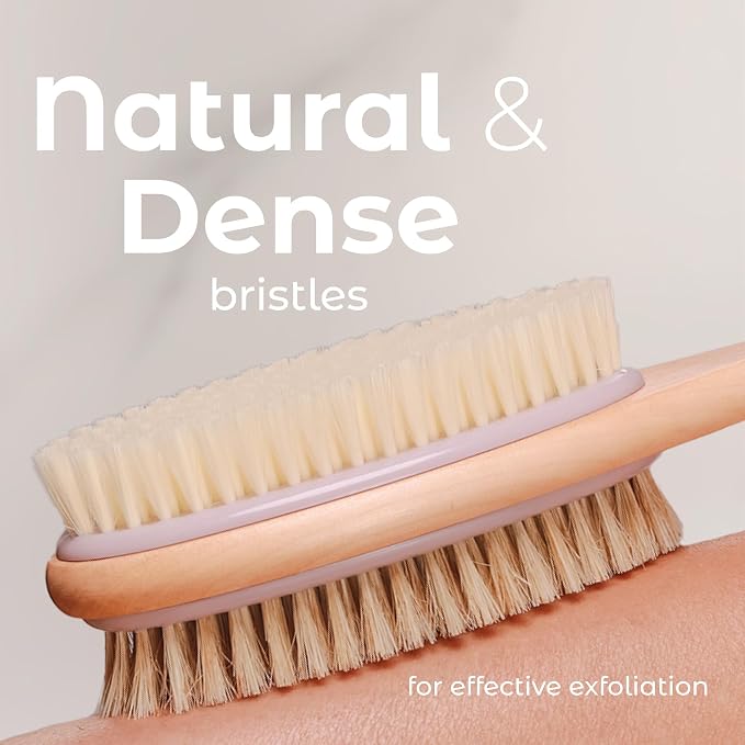 MainBasics Back Scrubber Shower Brush, Lavender, Long Handle | Dual Sided Body Brush, Exfoliating Bristles and Soft Bristles, Back Scrubbing, Deep Cleaning