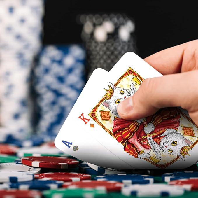 99FOX Noblific Cats Playing Cards for Adults Teens Friends Family Animal Lovers Gifts
