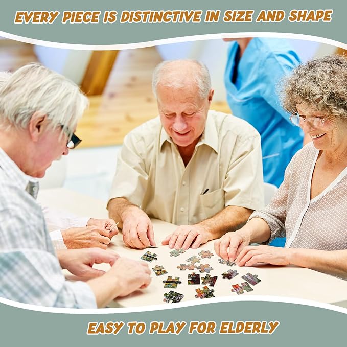 Hiboom 10 Pack 16 Piece Large Jigsaw Dementia Puzzles for Alzheimers Senior Easy Puzzles Dementia Products for Elderly Adults Gifts Memory Cognitive Games Christmas Activities, 9.45 x 12.6 Inch(Novel)