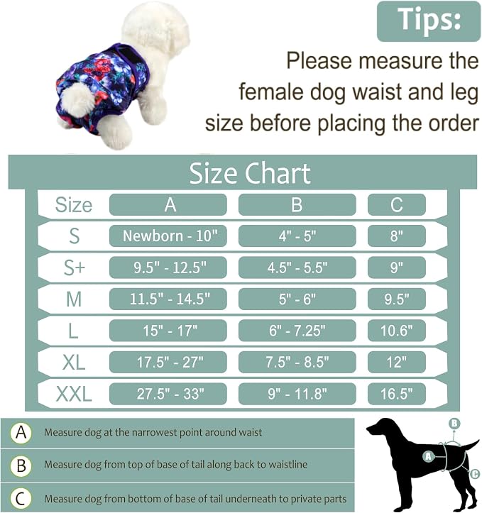 Washable Female Dog Diapers (5 Pack) - Doggie Reusable Small Medium Large Dog Diapers for Doggy Puppy Female in Period - Highly Absorbent Dog Heat Panties,S Plus,Rose