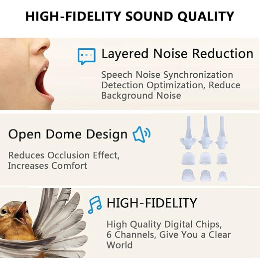 BLJ Hearing Aid for Seniors and Adults with Noise Reduction and Feedback Cancellation ITC Hearing Amplifier, 7 Batteries and 9 Ear Domes (Blue-Left Ear)