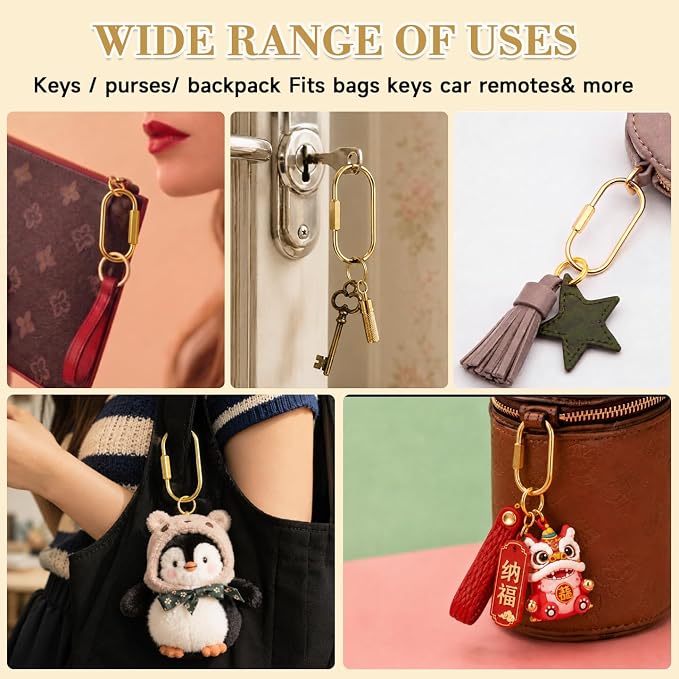 senbowe 9 Pack Gold Brass Key Rings, Carabiner KeyChain Clip with 10 O-Rings, Screw Lock Keys Organizer, Purse Bag Charms