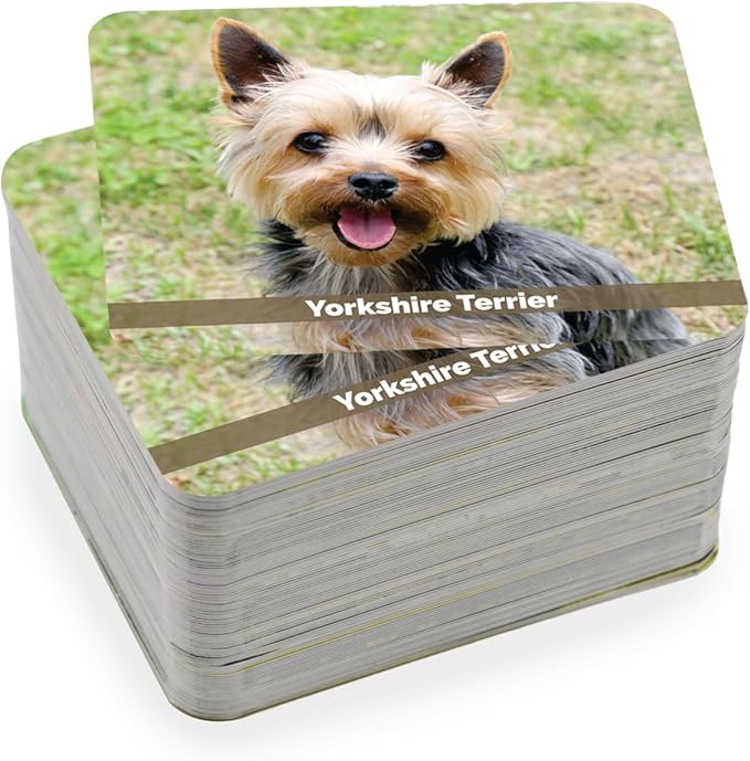 Menique – Dogs Memory Matching Game – Bilingual – 80 Cards (40 Pairs) with Real Photographs – Educational Game for Kids and Adults