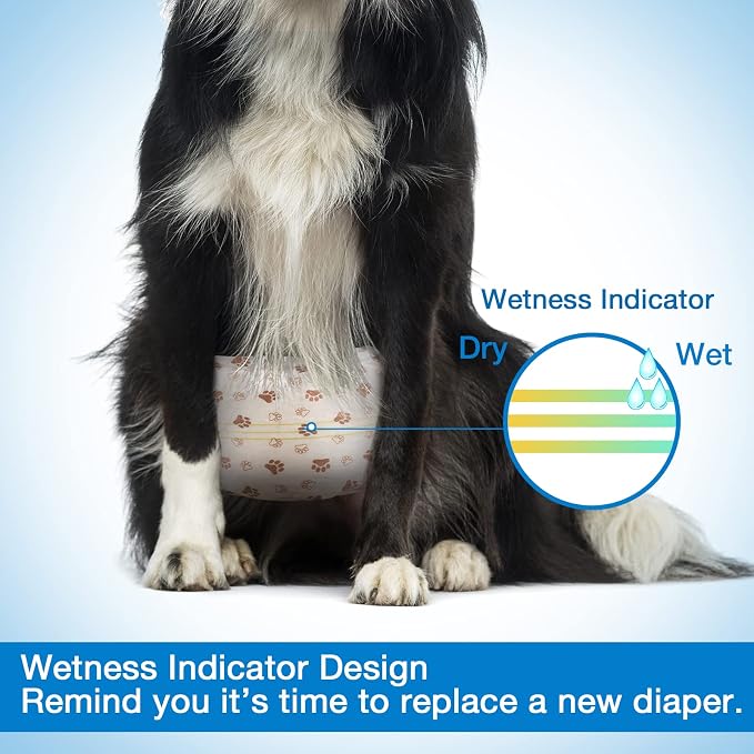 Pet Soft Dog Diapers Male - Disposable Male Dog Wraps Wetness Indicator, Ultra Absorbent Doggie Diapers Comfortable for Incontinence Excitable Urination, 20pcs Medium