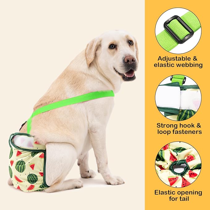 Avont 3 Pack Washable Female Dog Diaper with Suspender - L | Reusable Girl Doggie Diapers for Small Medium Large Dog in Heat Cycle Period Incontinence (Lemon/Dragon Fruit/Watermelon)