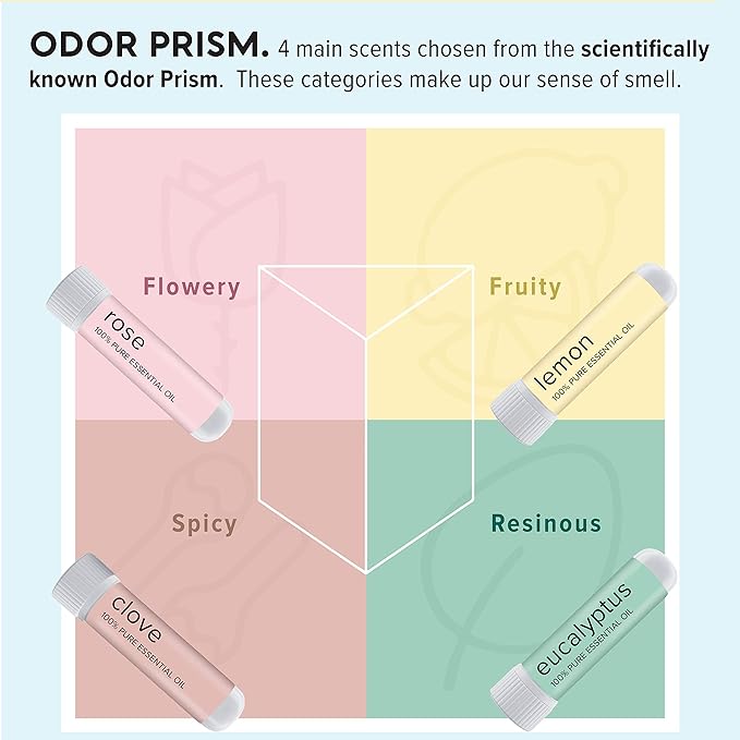 MOXĒ Smell Training Kit, Made in USA, 4 Essential Oils, Olfactory Regeneration, Helps Restore Sense of Smell, Natural Therapy for Smell Loss (Phase 1)