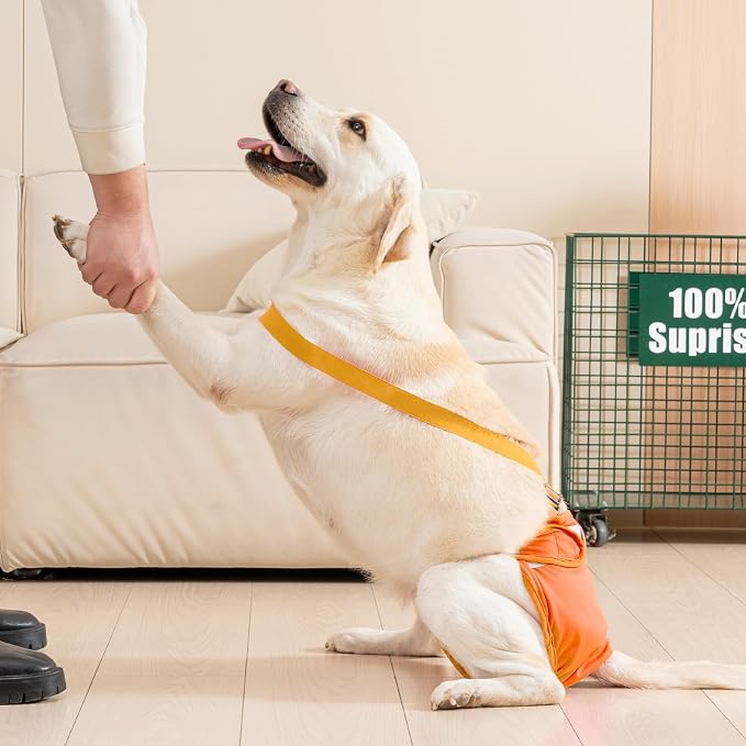 Avont 3 Pack Washable Female Dog Diaper with Suspender - L | Reusable Girl Doggie Diapers for Small Medium Large Dog in Heat Cycle Period Incontinence (Blue/Orange/Grey)