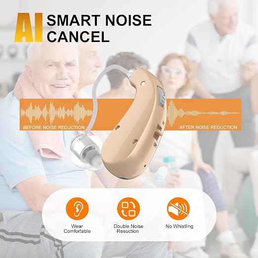 Hearing Aids, 16-Channel Digital Hearing Aids for Seniors, Rechargeable Hearing Aid for People with Hearing Loss, 4 Levels of Volume/Two Mode Noise Cancellation, Clear Sound and Easy to Use