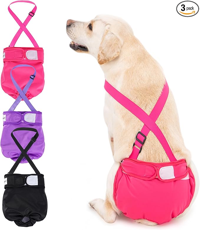 Avont 3 Pack Washable Female Dog Diaper with Suspender - S | Reusable Girl Doggie Diapers for Small Medium Large Dog in Heat Cycle Period Incontinence (Black/Pink/Purple)