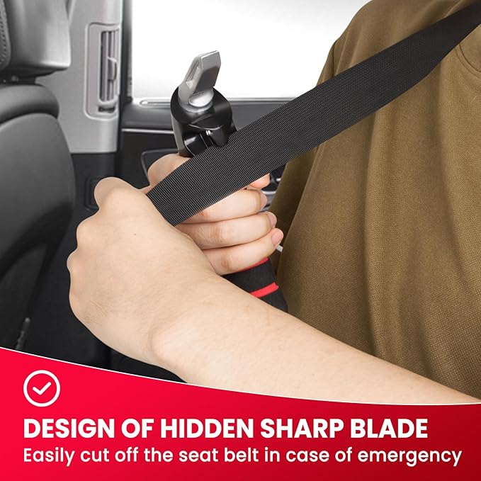 Car Door Handle for Elderly: Portable Car Assist Handle for Elderly & Seniors & Handicap - Auto Multifunction Armrest Portable Bar (1Pack Red and 2Pack Straps)