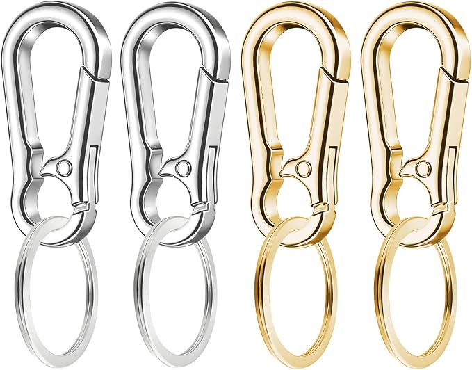 4 Pack Keychain, Metal Key Chain, Sturdy Key Ring, Key Rings Key Organizer Keychain Clip Key Chains for Men Women