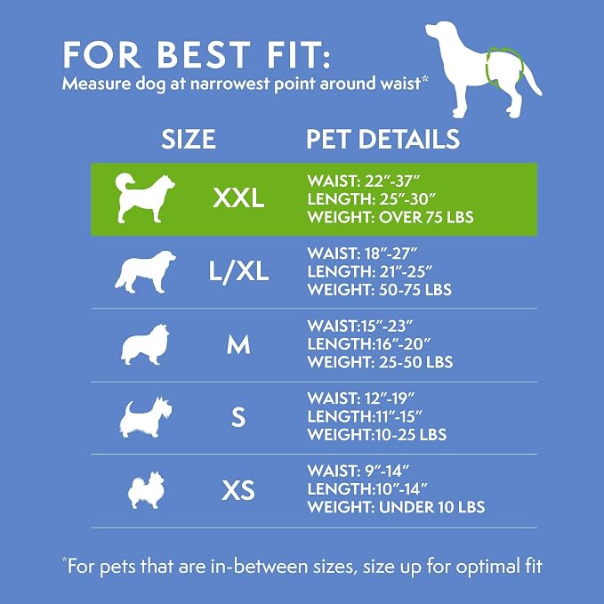 Simple Solution Dog Diapers Female, Dog Diapers, Potty Training, Super Absorbent, Breathable, Wetness Indicator for Urination, 22-37 Inch Waist, (XXL,), 30 Count (Pack of 12)