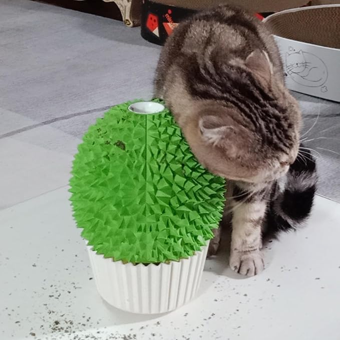 Miwoowim Catnip Feeder - Cat Face Scratcher Wall Corner Massage Comb for Indoor Cats Self Grooming Brush (Green) | Catnip Feeder Toy with Catnip. Multi-purpose scratcher. Easy to install with adhesive tape. Removes loose fur, water-washable