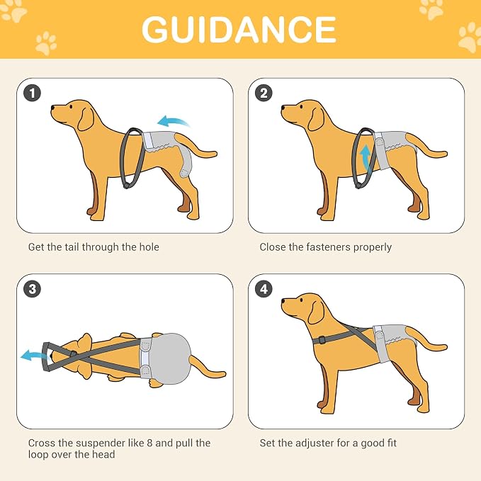Avont 3 Pack Washable Female Dog Diaper with Suspender - M | Reusable Girl Doggie Diapers for Small Medium Large Dog in Heat Cycle Period Incontinence (Lemon/Dragon Fruit/Watermelon)