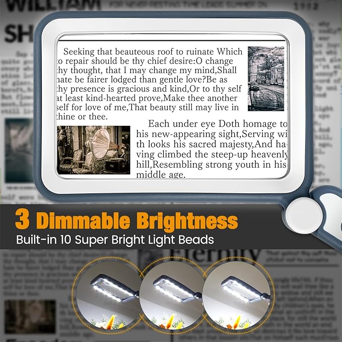 Rechargeable Magnifying Glass with Light for Reading, 5X Large Page Magnifier with LED Lighted for Seniors Low Vision, Folding Handheld Rectangle Magnifier for Reading Small Print, Blue-White