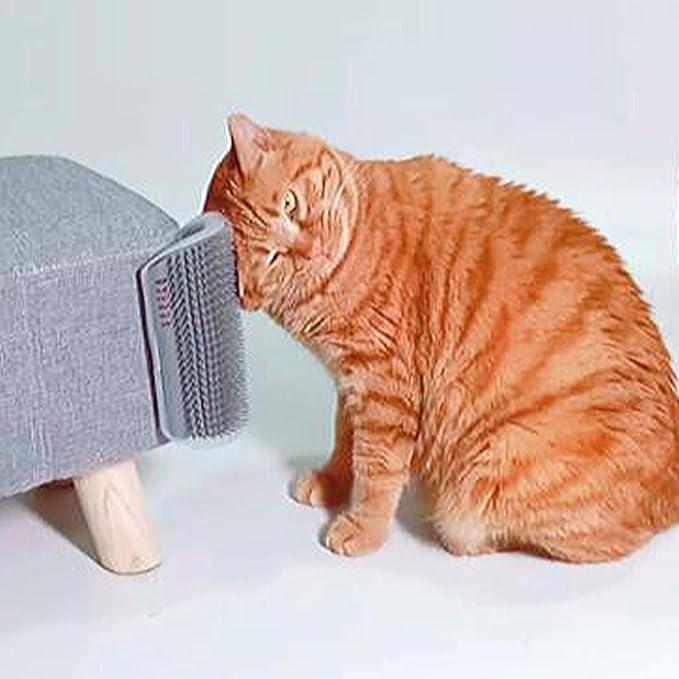 Miwoowim Extended (6.1") 2 Pack Self Grooming Cat Brush - Wall Corner Scratcher with Massage Combs for Long and Short Fur Cats, Kittens (Grey) | Soft bristles .Durable, Scratcher & Massage comb for long/short hair. Mounts on walls or furniture corners....