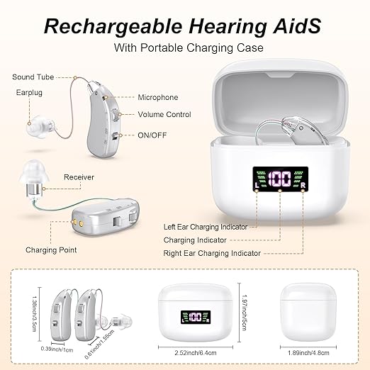 Hearing Aid for the Elderly-Easy to Operate-One Touch Adjustment-Built-in Noise Reduction-Rechargeable Hearing Aids (Silver)