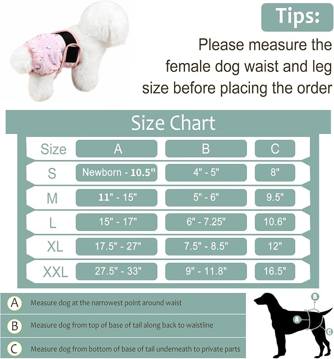 Female Dog Diapers - Premium Reusable Diapers for Doggie in Heat - Highly Absorbent Dog Diapers Female for Pet Incontinence with Adjustable Snaps Flowers, XL