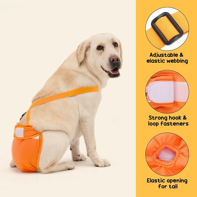 Avont 3 Pack Washable Female Dog Diaper with Suspender - M | Reusable Girl Doggie Diapers for Small Medium Large Dog in Heat Cycle Period Incontinence (Blue/Orange/Grey)