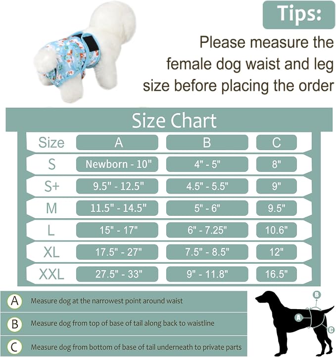 Washable Female Dog Diapers (5 Pack) - Doggie Reusable Small Medium Large Dog Diapers for Doggy Puppy Female in Period - Highly Absorbent Dog Heat Panties,S Plus,Cute Dog Pattern